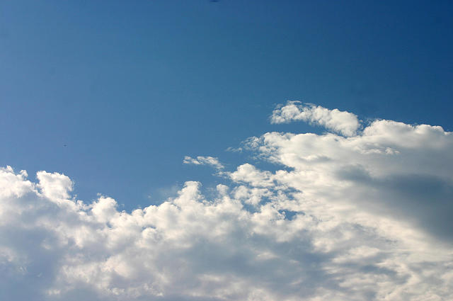 Sky, obviously.