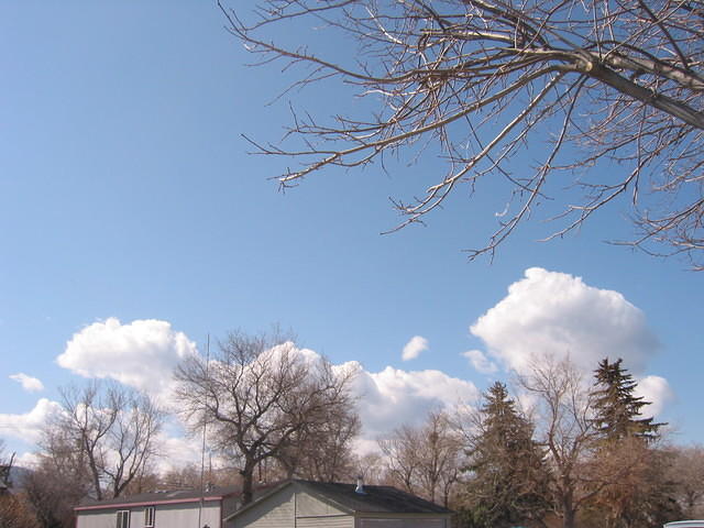 Another sky picture.