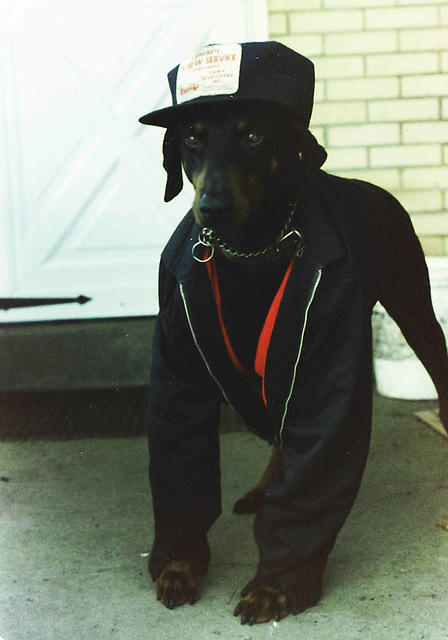 Damien - 1985