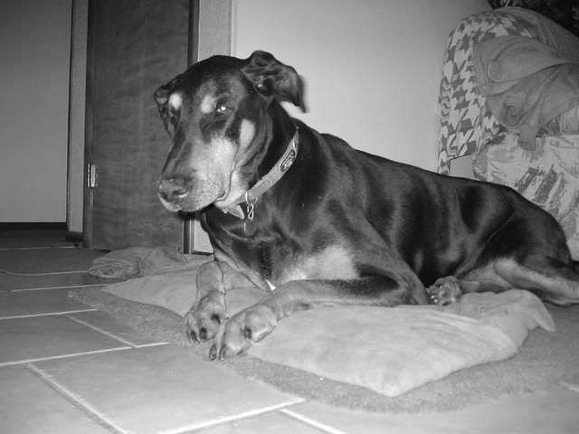 Duke again.