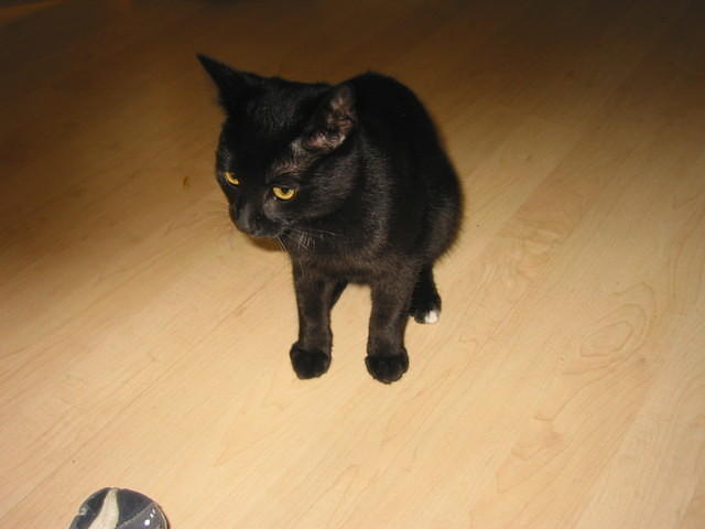 Rio again. 10/5/03