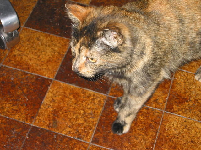 IMG 3299