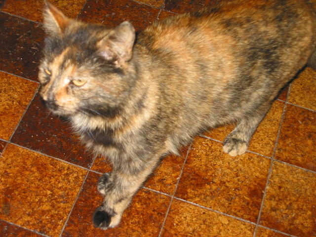 IMG 3300