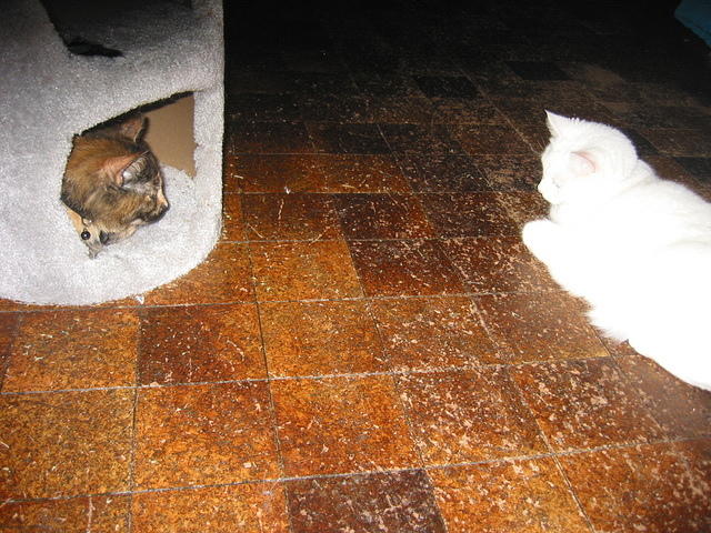 IMG 3469