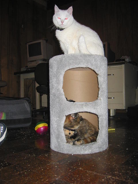 IMG 3470