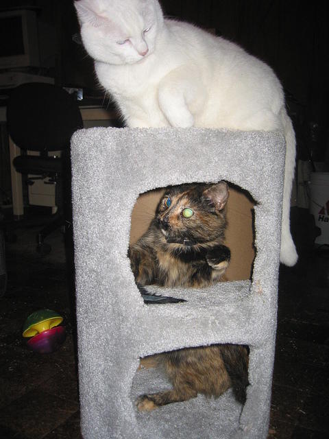 IMG 3472