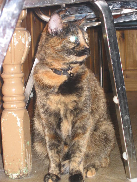 Charm - 8/27/05