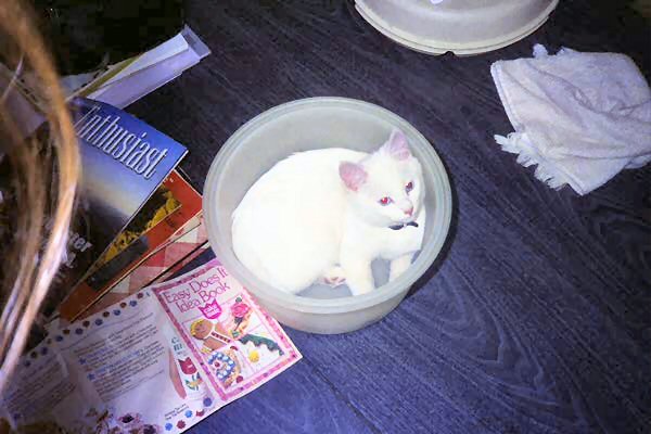 16