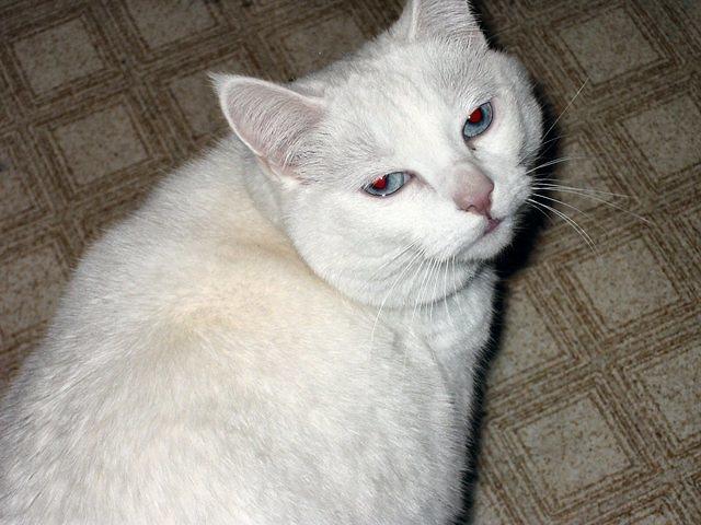 12/7/03