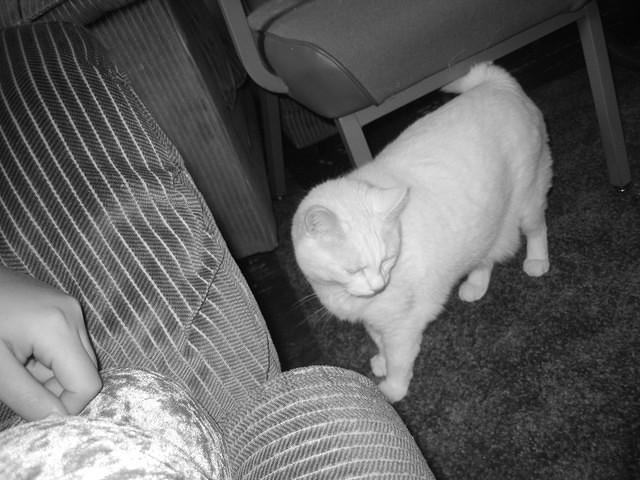 And this picture of Lacy.
