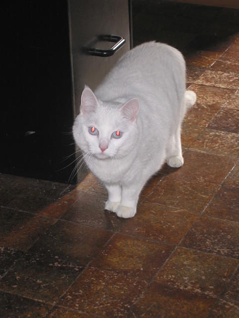 IMG 3324