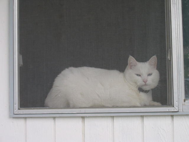 IMG 3568