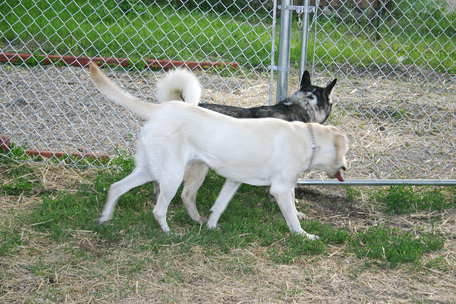 IMG_0116a.jpg