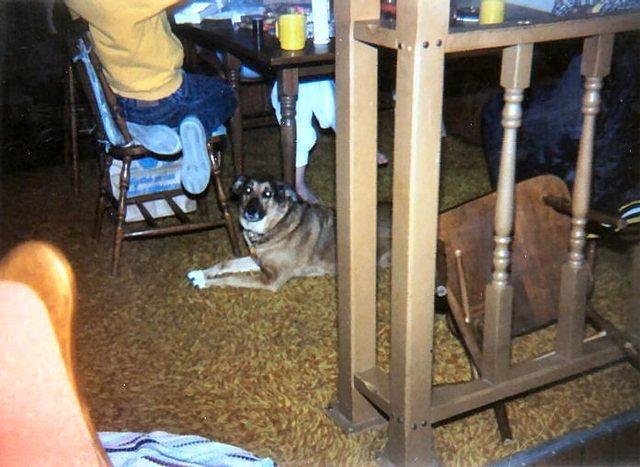 Dixie