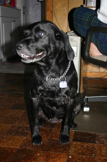 Ebony