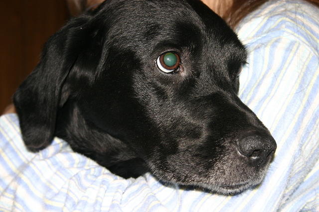 Ebony