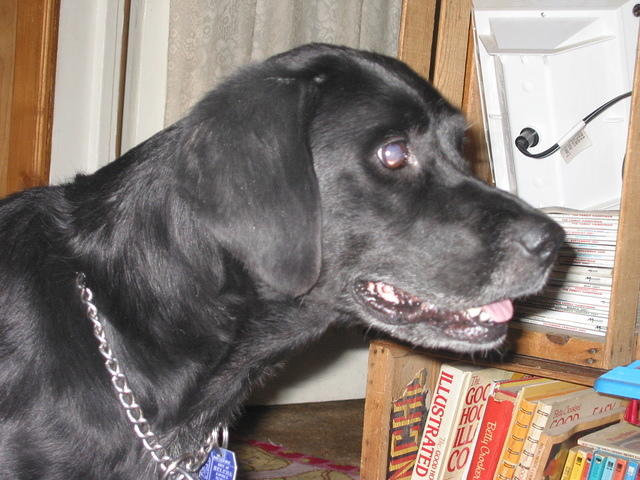 Ebony. 8/27/05