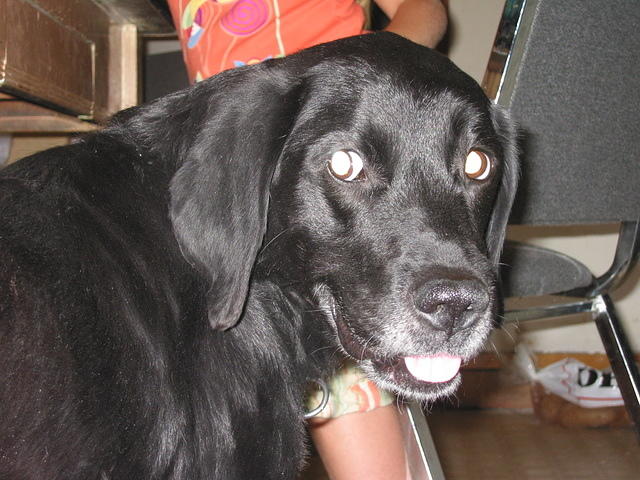 Ebony. 8/27/05