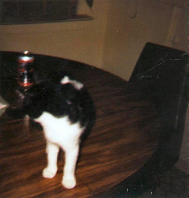 Sammy and beer! ;P