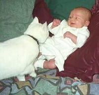 Lacy and Carrie - 5/11/99