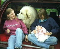 Mommy, Pico, Grandmom, and Carrie - 5/22/99


In Wisconsin.