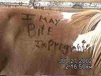 Okay, so this just amused me for some reason 7/27/02