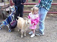 Carrie made a friend!
