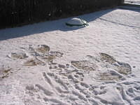 IMG_2685.JPG