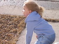 106-0646_IMG