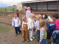 Victoria, Carrie, ?, Rachael, Jayde, ?, Karlie, ?