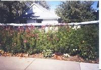 Out front of Mom's house. 10/2/03