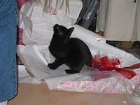 Rio continued playing. 10/5/03