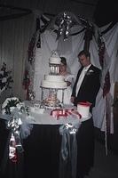 Michelle and Shawn cutting the cake.