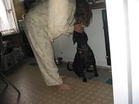 September 2003