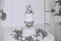 The cake