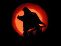 the pumpkin in the dark, lit up.