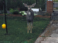 September 18, 2004