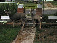 IMG 4193