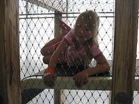 Carrie, climbing up this weird thing in Pittsburgh's Children Museum.