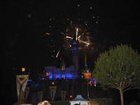 IMG_5050.JPG