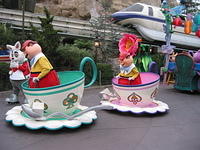 IMG_5010.JPG
