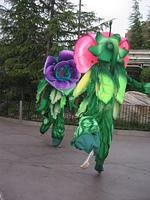 IMG_5012.JPG