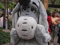Eeyore in Critter Country