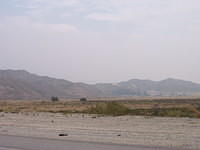 IMG_5110.JPG