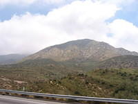 IMG_5115.JPG