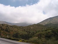 IMG_5116.JPG