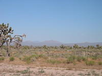 IMG_5131.JPG