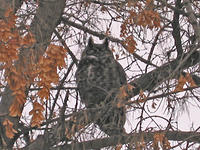 IMG_5822a
