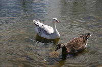 April 2006