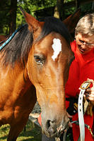 Carol Bradley and Dandy